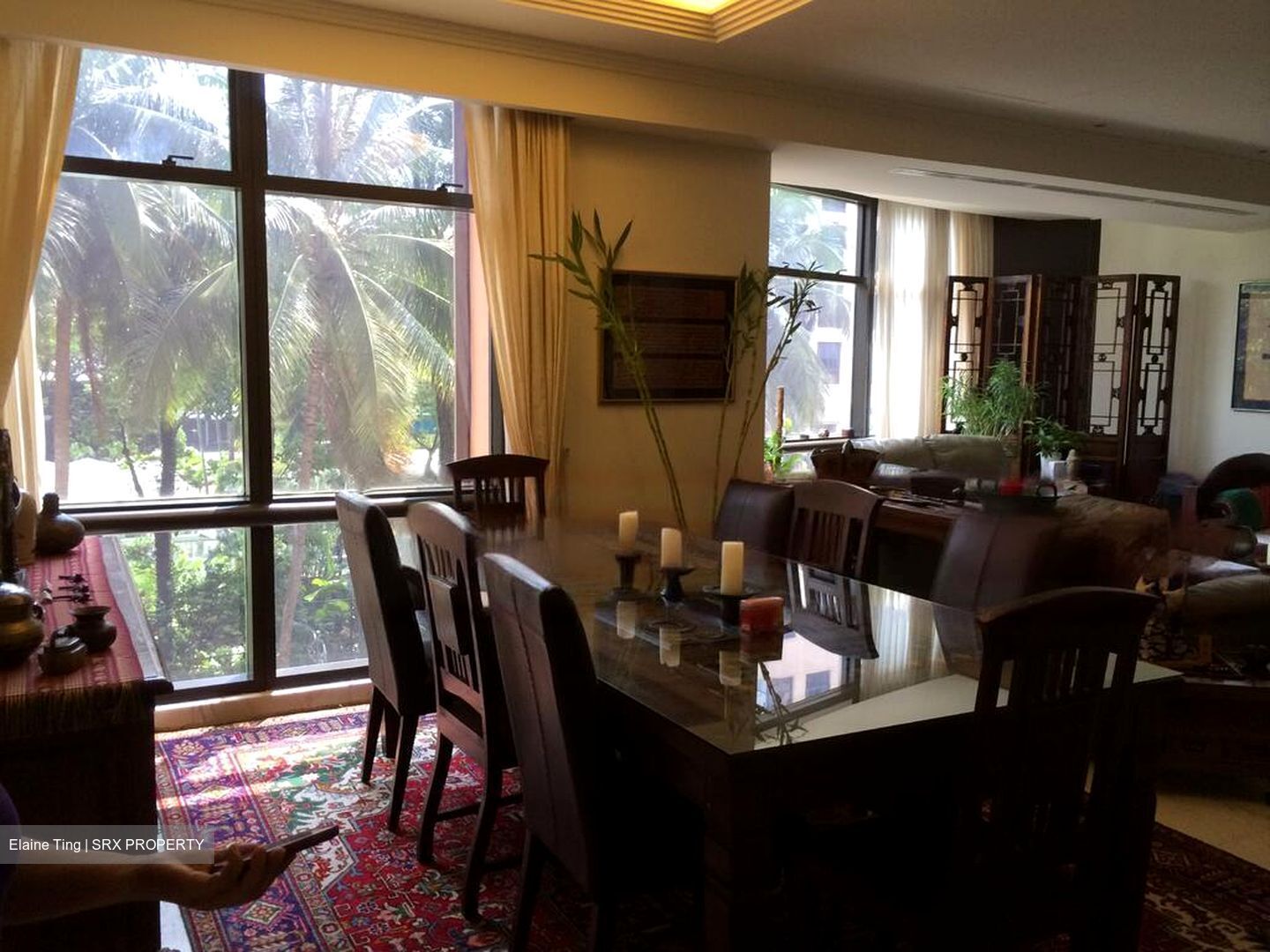 Four Seasons Park (D10), Condominium #549386601